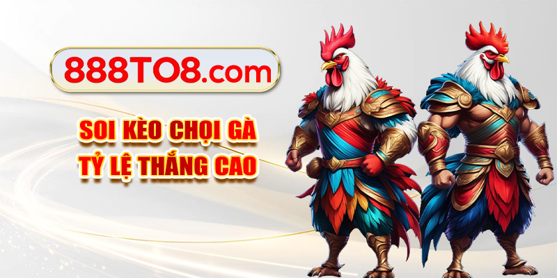 Soi kèo chọi gà tỷ lệ thắng cao